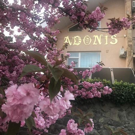 Hotel Adonis Úzhgorod Exterior foto
